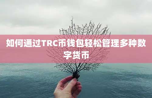 如何通过TRC币钱包轻松管理多种数字货币