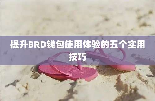 提升BRD钱包使用体验的五个实用技巧