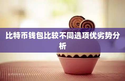 比特币钱包比较不同选项优劣势分析