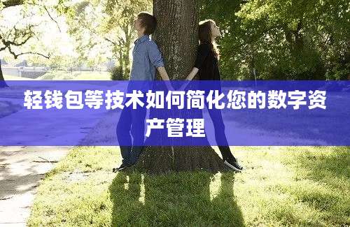 轻钱包等技术如何简化您的数字资产管理