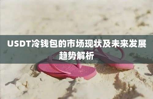 USDT冷钱包的市场现状及未来发展趋势解析