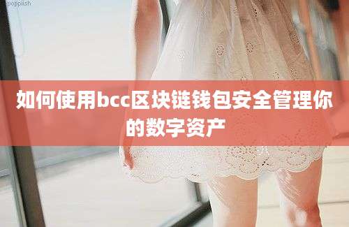 如何使用bcc区块链钱包安全管理你的数字资产