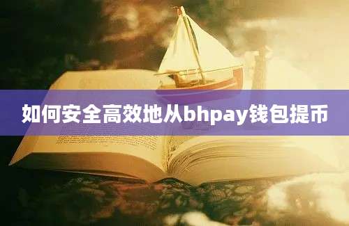 如何安全高效地从bhpay钱包提币