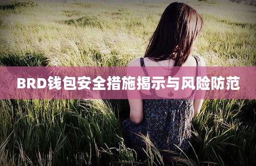 BRD钱包安全措施揭示与风险防范
