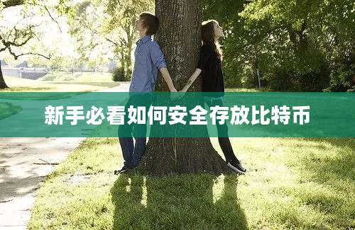 新手必看如何安全存放比特币