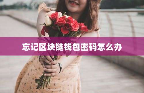 忘记区块链钱包密码怎么办