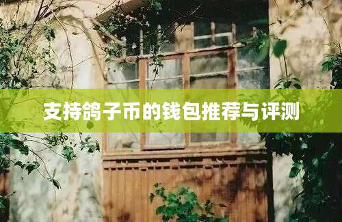 支持鸽子币的钱包推荐与评测