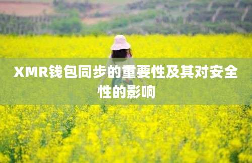 XMR钱包同步的重要性及其对安全性的影响