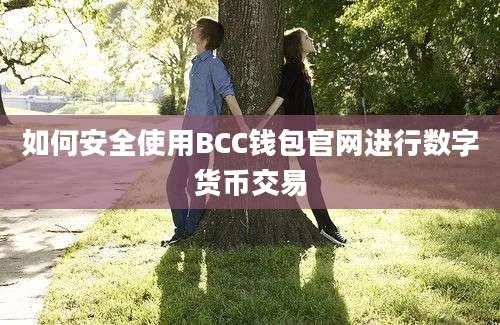 如何安全使用BCC钱包官网进行数字货币交易