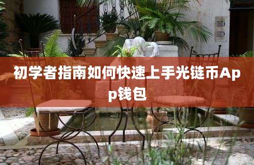 初学者指南如何快速上手光链币App钱包