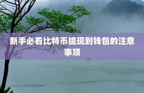 新手必看比特币提现到钱包的注意事项
